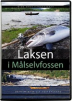 Laksen i M�lselvfossen DVD