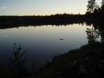 Fluer for stille vann