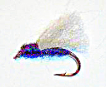 Rakelhanen - sort