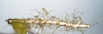 B�rstemark (oliven)