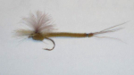 Vulgata (sandd�gnflue)