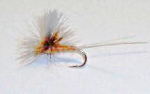 Aurivilli (elved�gnflue)