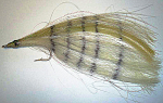 Abbor flue (Emmons\'s Yak Fly)